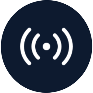 Real-Time Dynamic Updates